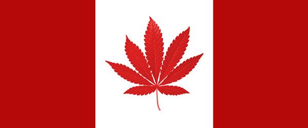 Cannabis Research Cannabis Flag