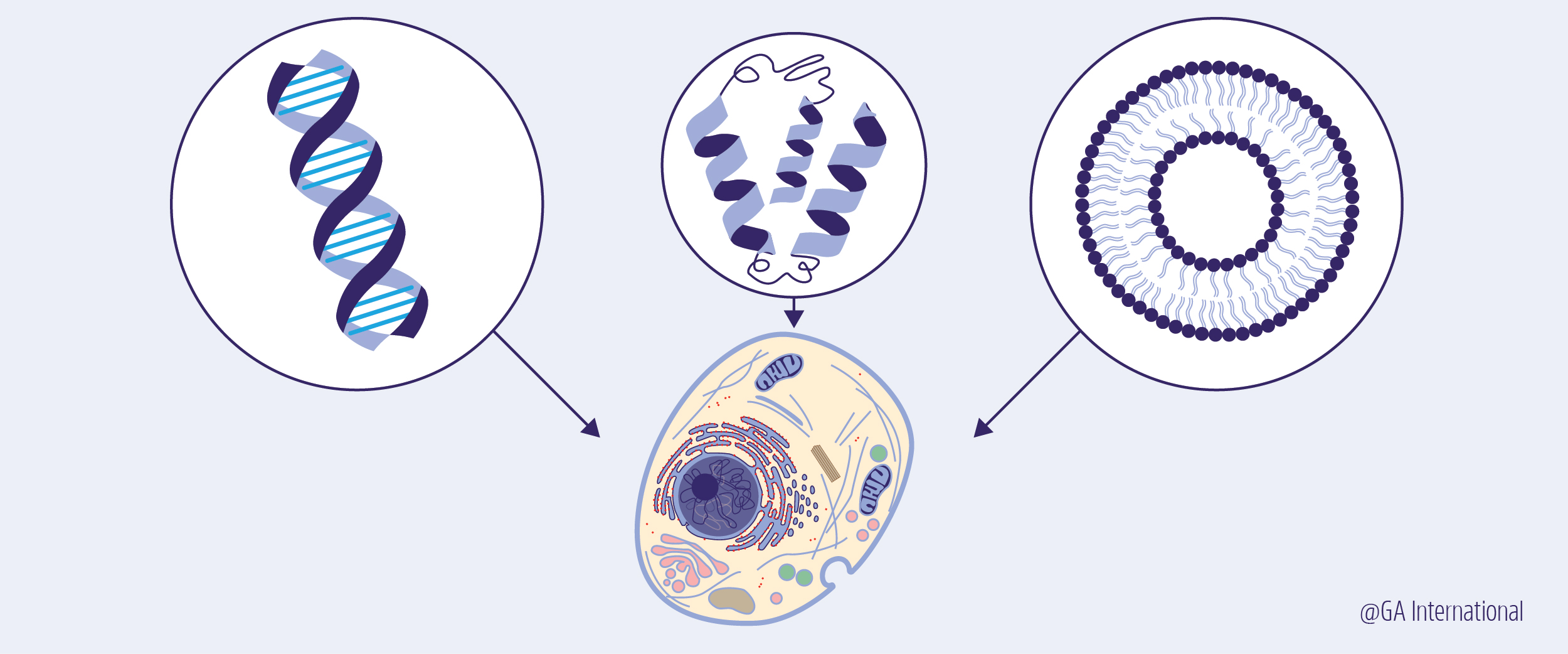 Developing Artificial Life from Scratch