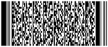 PDF417 barcode format example by GA International.com