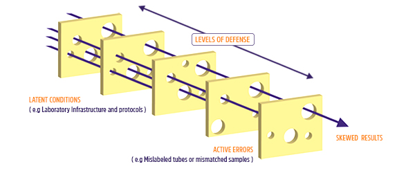 Swiss Cheese model for the lab