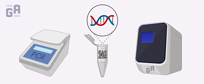 Avoiding PCR Errors