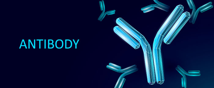 ProteoGenix Announces a New Human COVID-19 Antibody Library to Accelerate  the Discovery of Potent and Urgently Needed Solutions - ProteoGenix